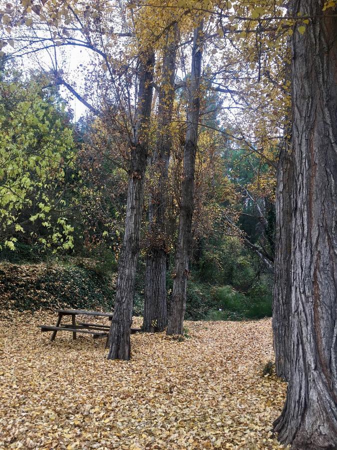 Country house Rural Puente Honda